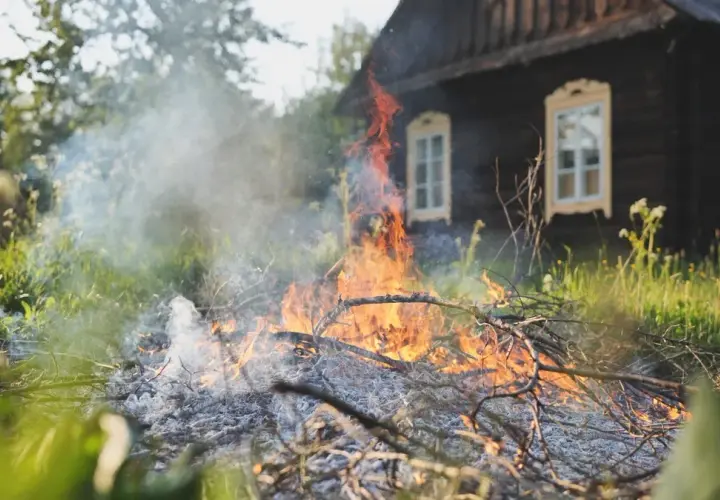 Palenie gałęzi na działce? Uniknij kary! Przepisy i alternatywy