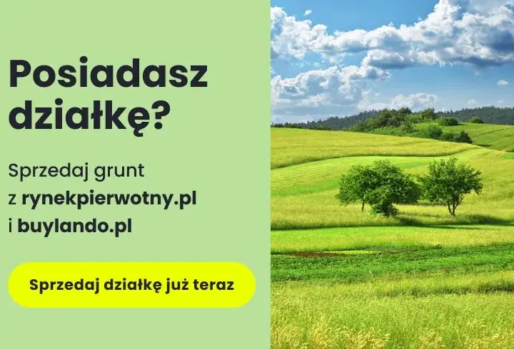 Jak odrolnić działkę pod dom? Uniknij błędów, poznaj koszty i WZ