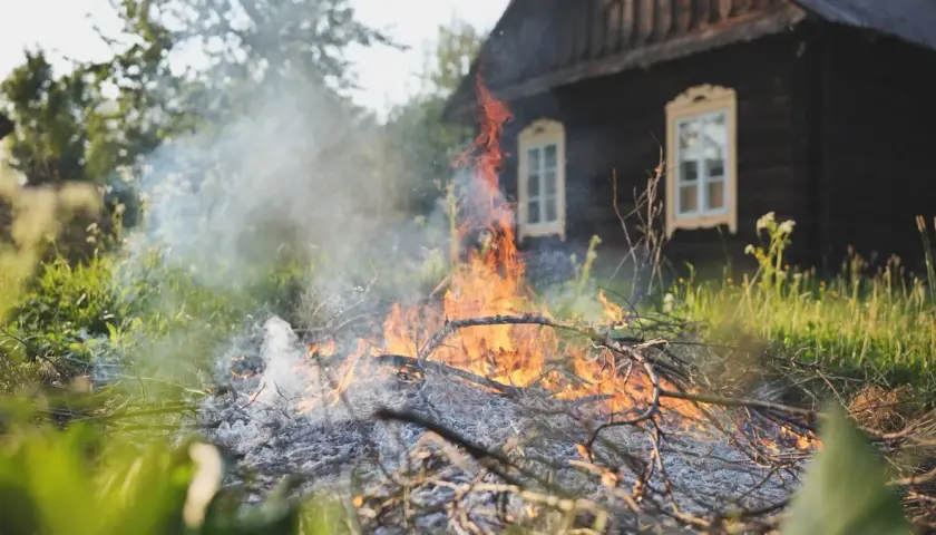 Palenie gałęzi na działce? Uniknij kary! Przepisy i alternatywy