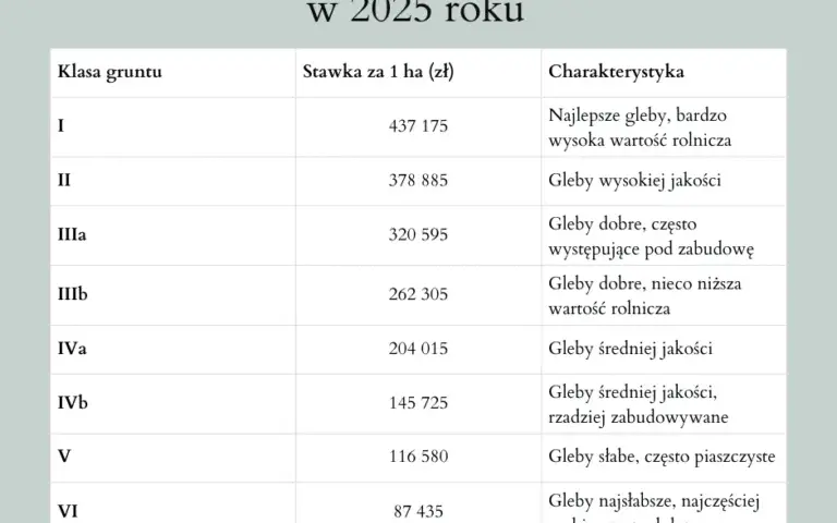 Odrolnienie działki rolnej: Przewodnik, koszty i zmiany 2026