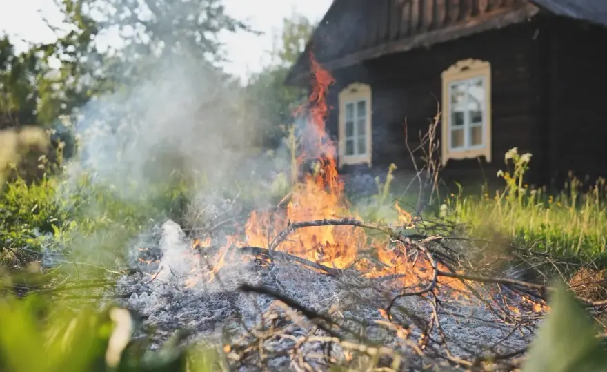Palenie gałęzi na działce? Uniknij kary! Przepisy i alternatywy